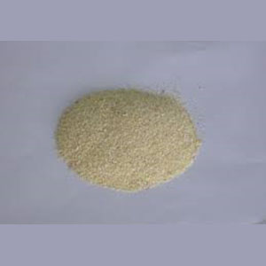 Garlic Granulated (40-80 mesh) -(10X5LB/CS)
