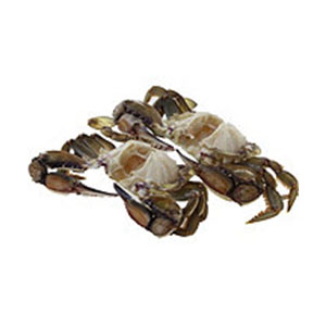 (1-3)  Cleaned Gumbo Crab Bron Box - 10Lb/Cs