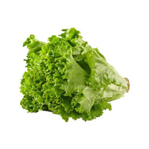 Green Leaf Lettuce - 24Ct