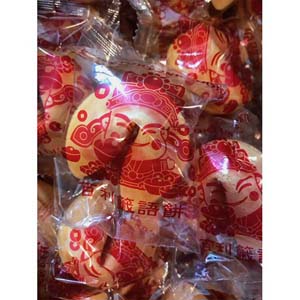 Wrapped Baily- Fortune Cookies