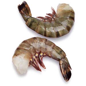8-12 white shrimp HLSO 24# (Kastur-India)